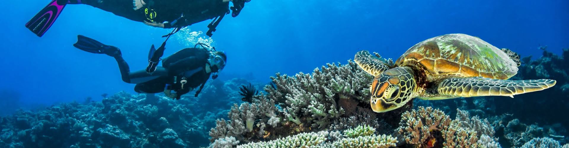 Discovering the Red Sea: A Jewel of Nature and History